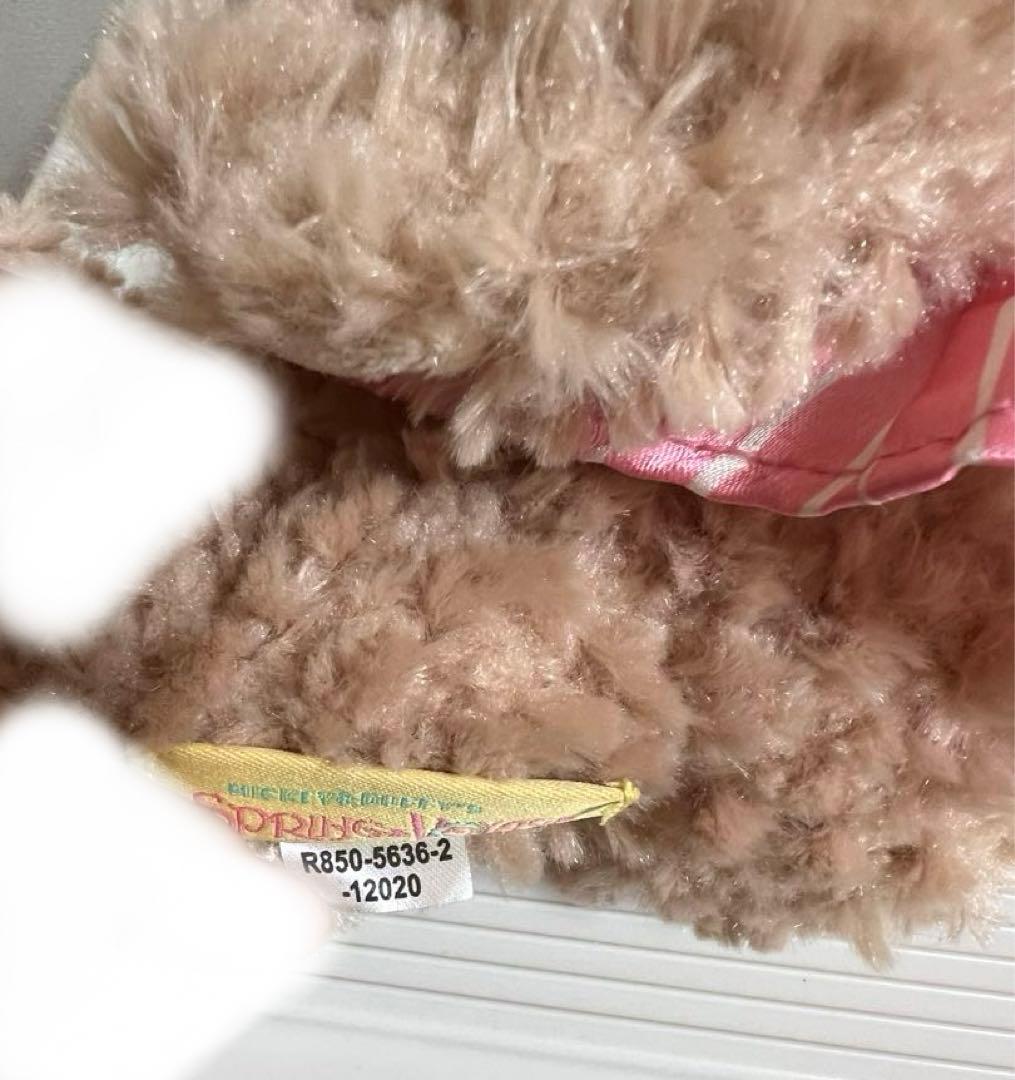 ダッフィー、シェリーメイぬいぐるみ、ぬいぐるみネックストラップセッ（スプリング）