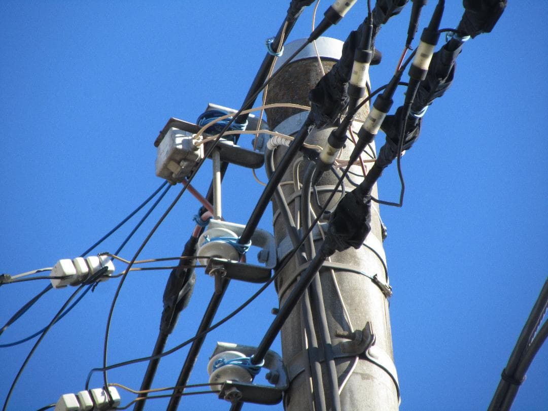 Canon PowerShot SX210 IS キャノン パープル デジカメ