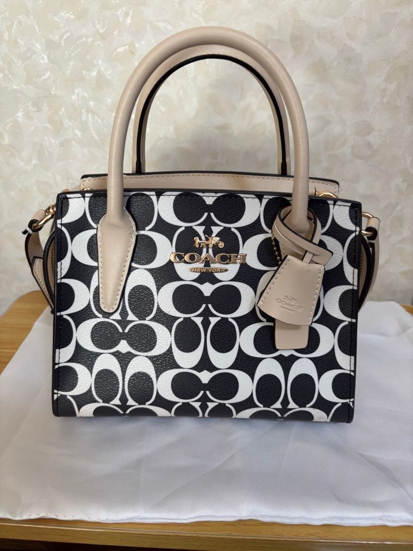 COACH アンドレア キャリーオール・シグネチャー キャンバスCP080