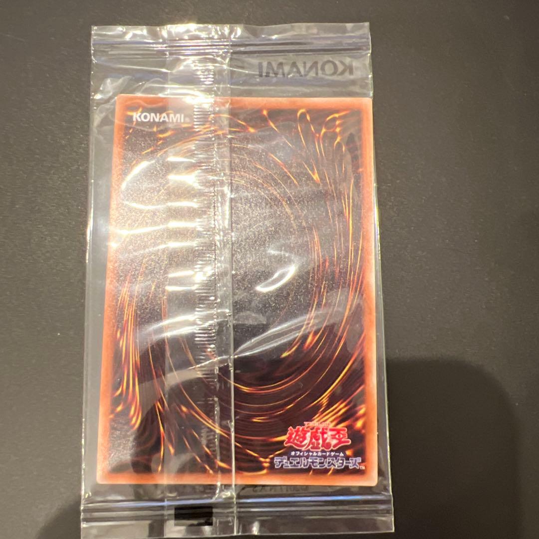 s*a様 真紅眼の黒竜【ミレニアムシークレット】{2019-JPP01}