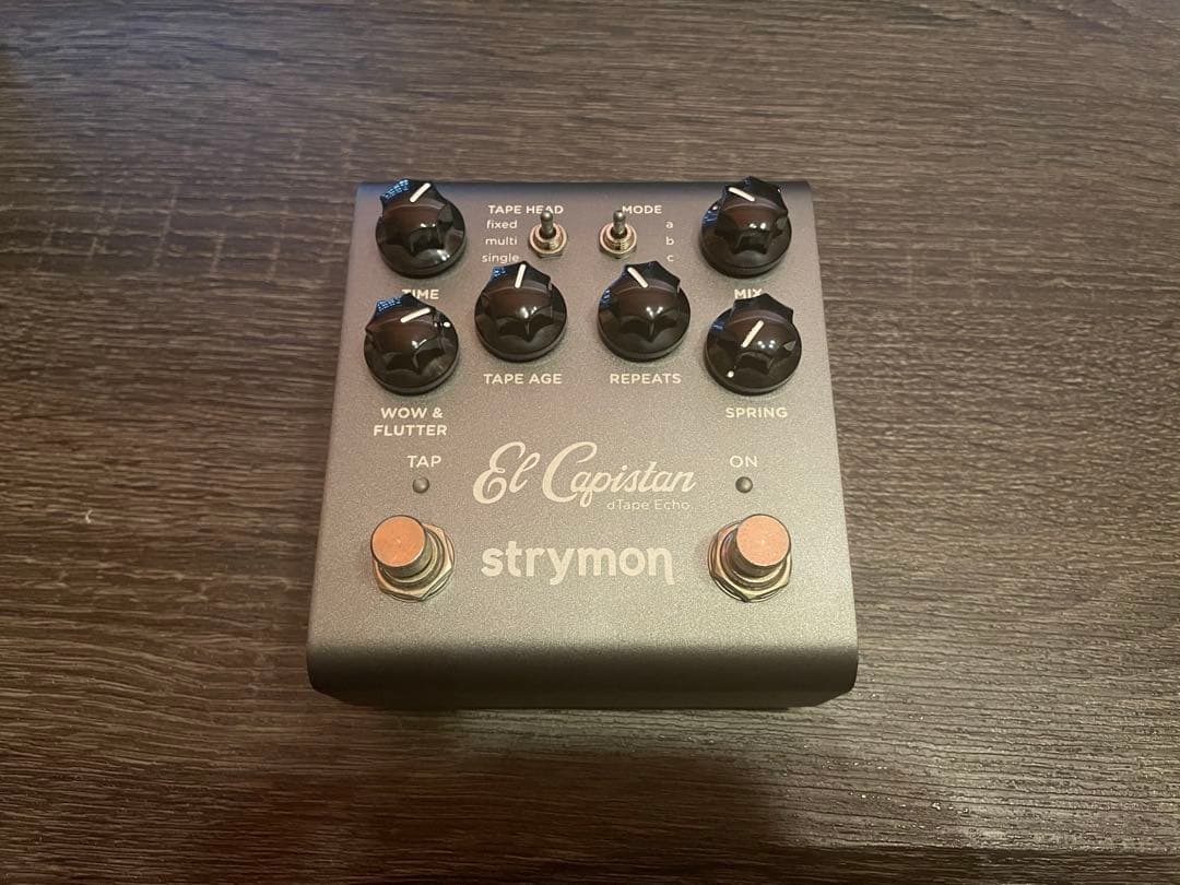 ギター Strymon El Capistan v2