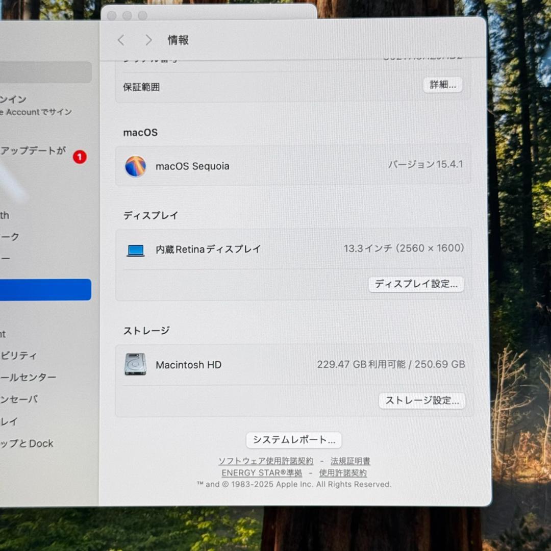 MacBook本体 P346 Apple MacBook Pro i7 16GB 256GB