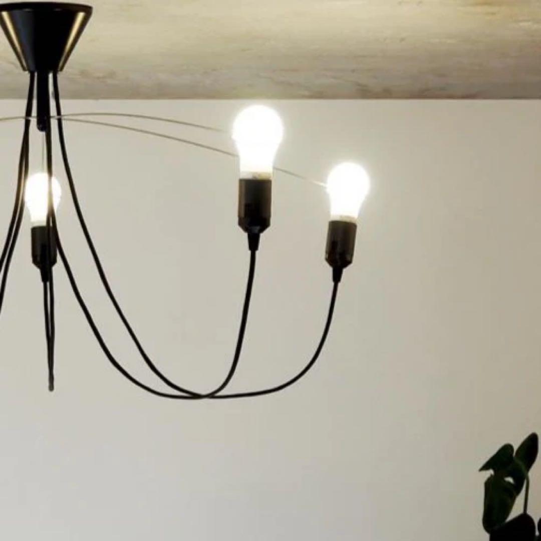 Heavy Guy Chandelier デザイナーズ シャンデリア TRICO