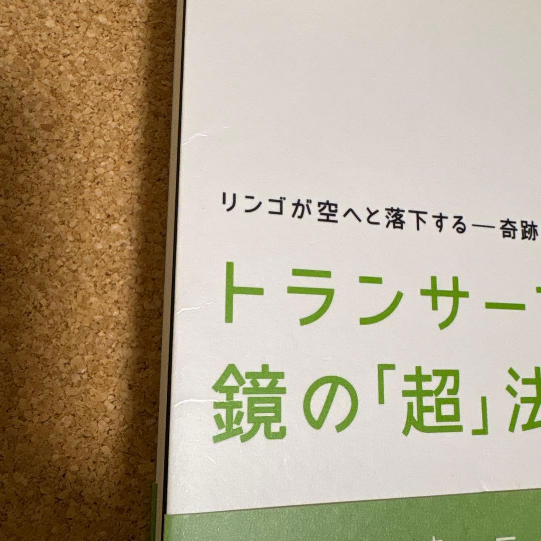トランサーフィン 鏡の「超」法則 リンゴが空へと落下する－奇跡の願望実現法