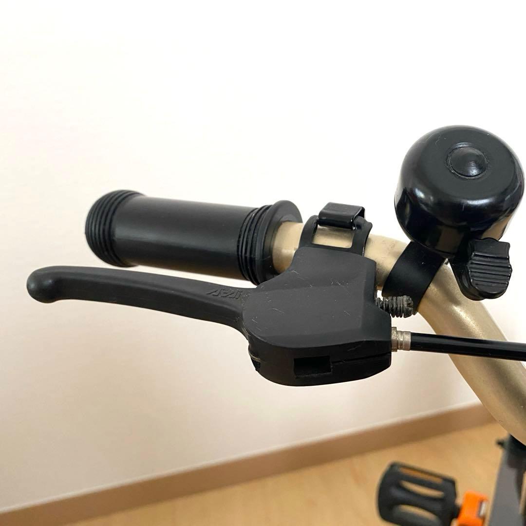 d-bike ディーバイク マスター 12インチ