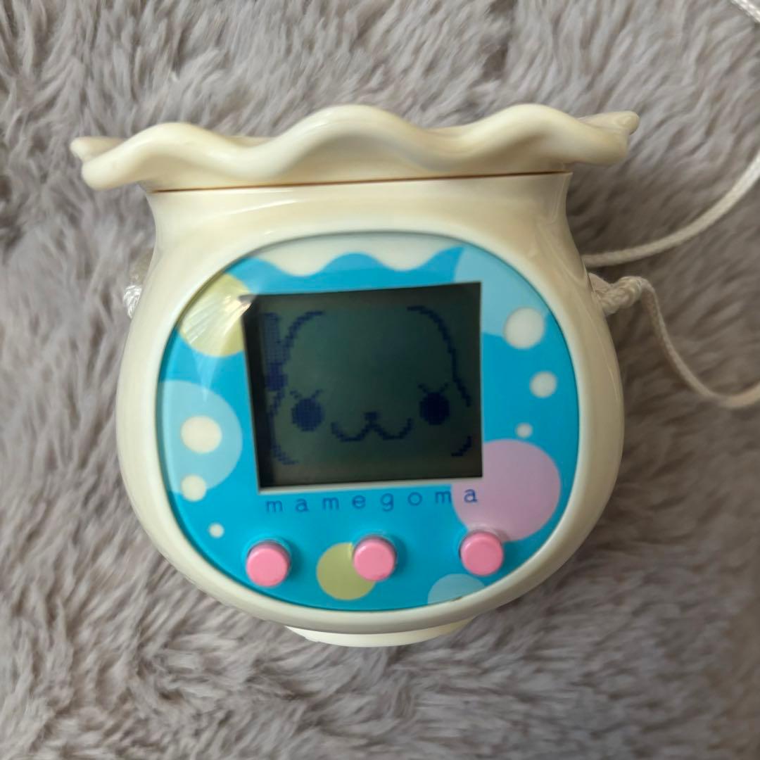 まめゴマ 飼育日記