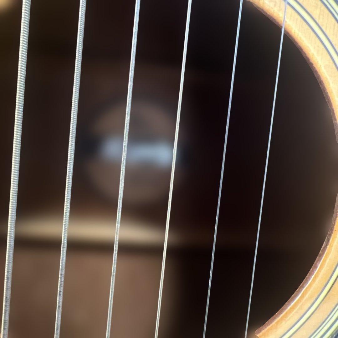 【大人気アイテム】モーリス Morris MD502 アコースティックギター