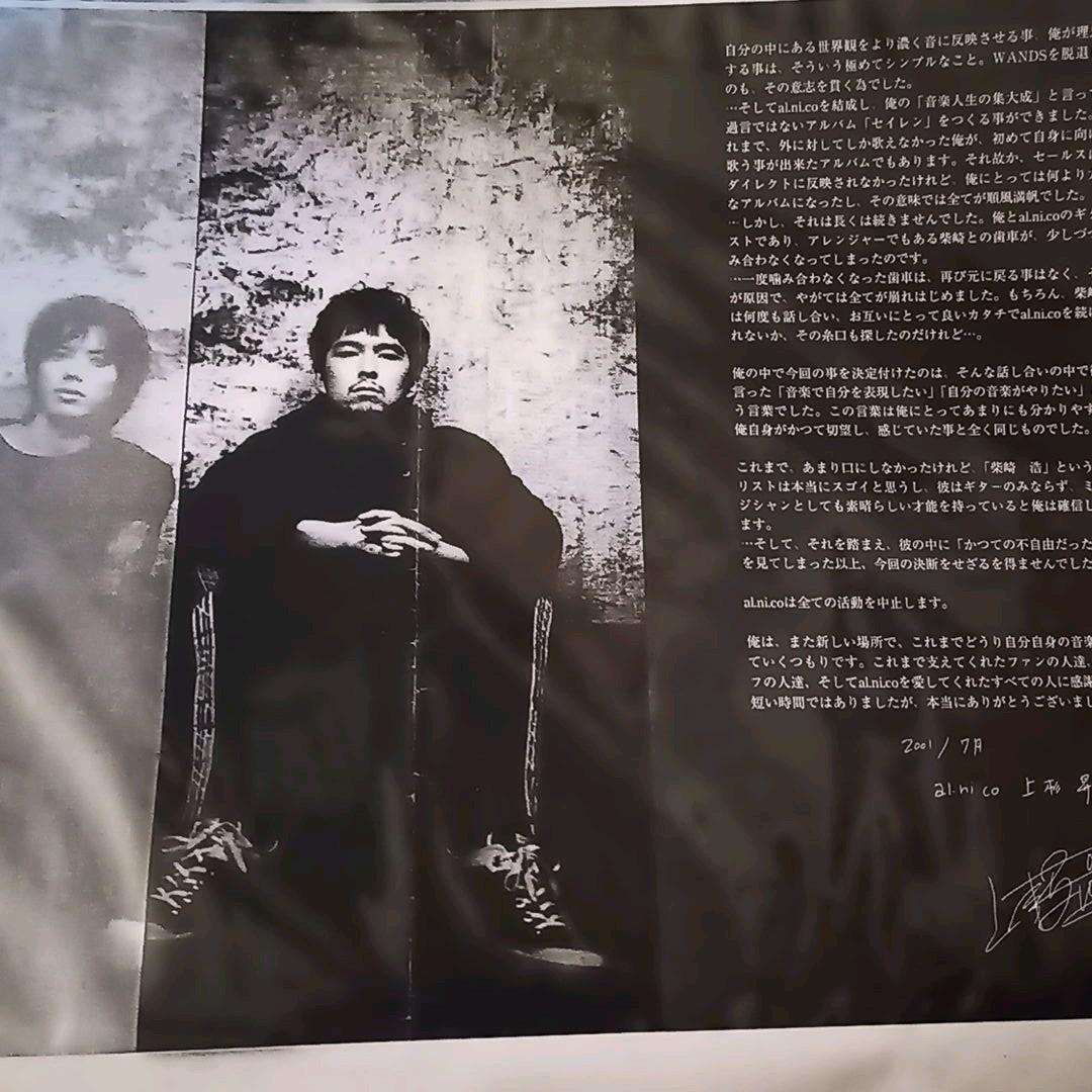 al.ni.co(WANDS)切り抜き+α