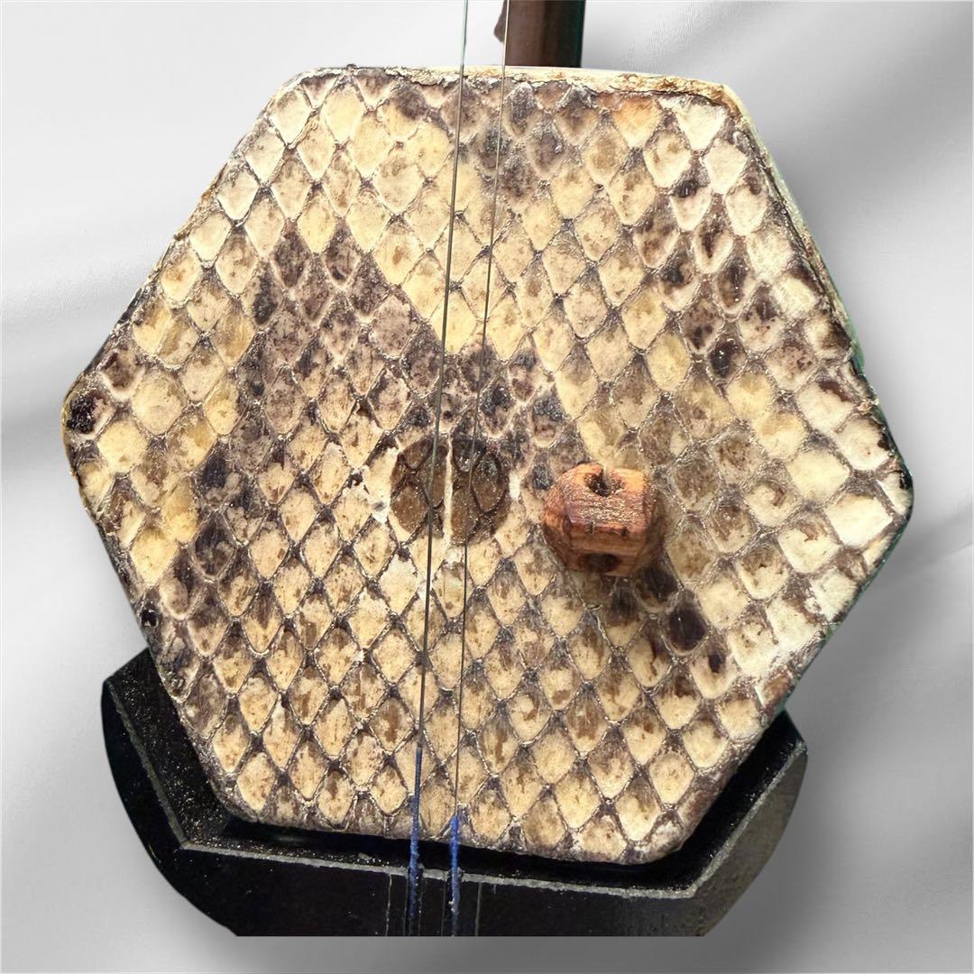 【二胡 】敦煌牌入門向け 本皮仕様 南胡 木製本体 弦・駒付 ハードケース付き