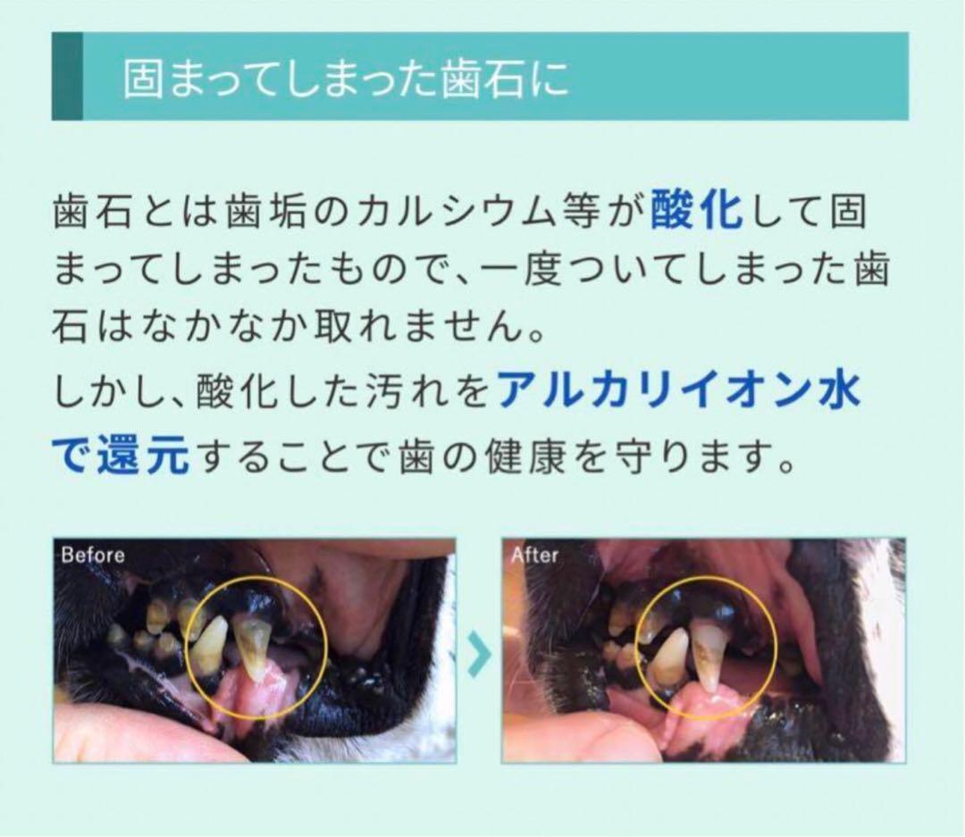 新品未使用品　５本　◉プロバイオミスト　※歯石予防動物病院推奨