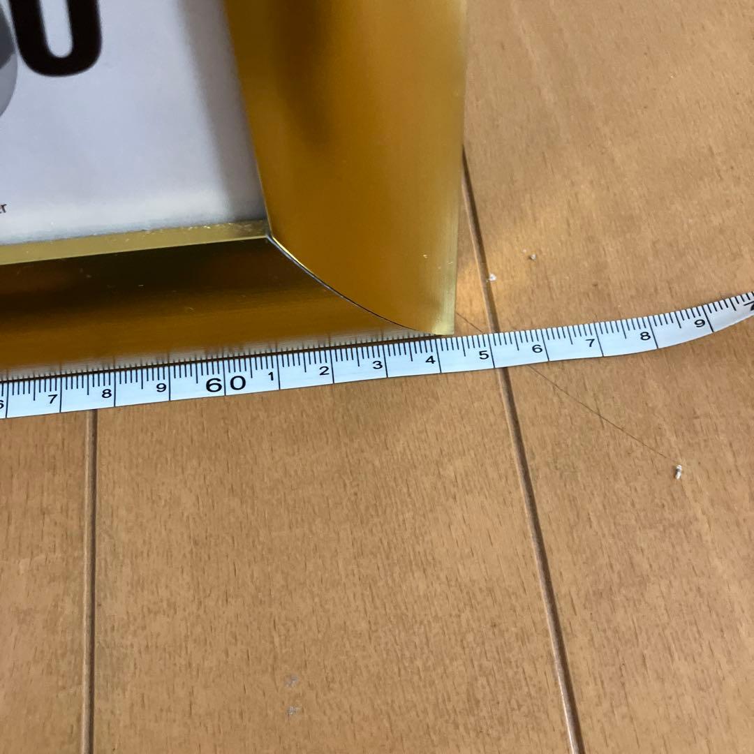 イルカポスター　額入り