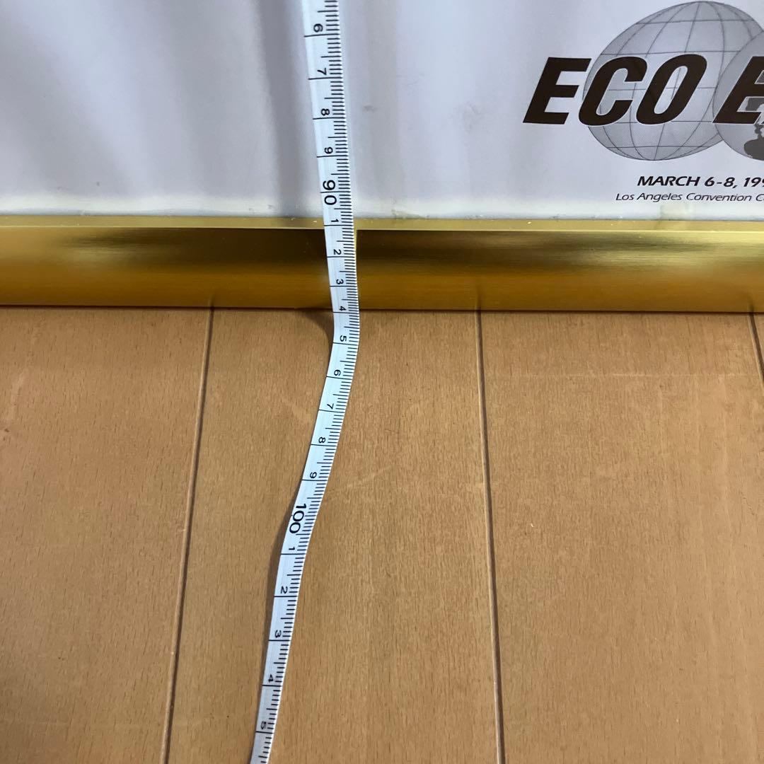 イルカポスター　額入り