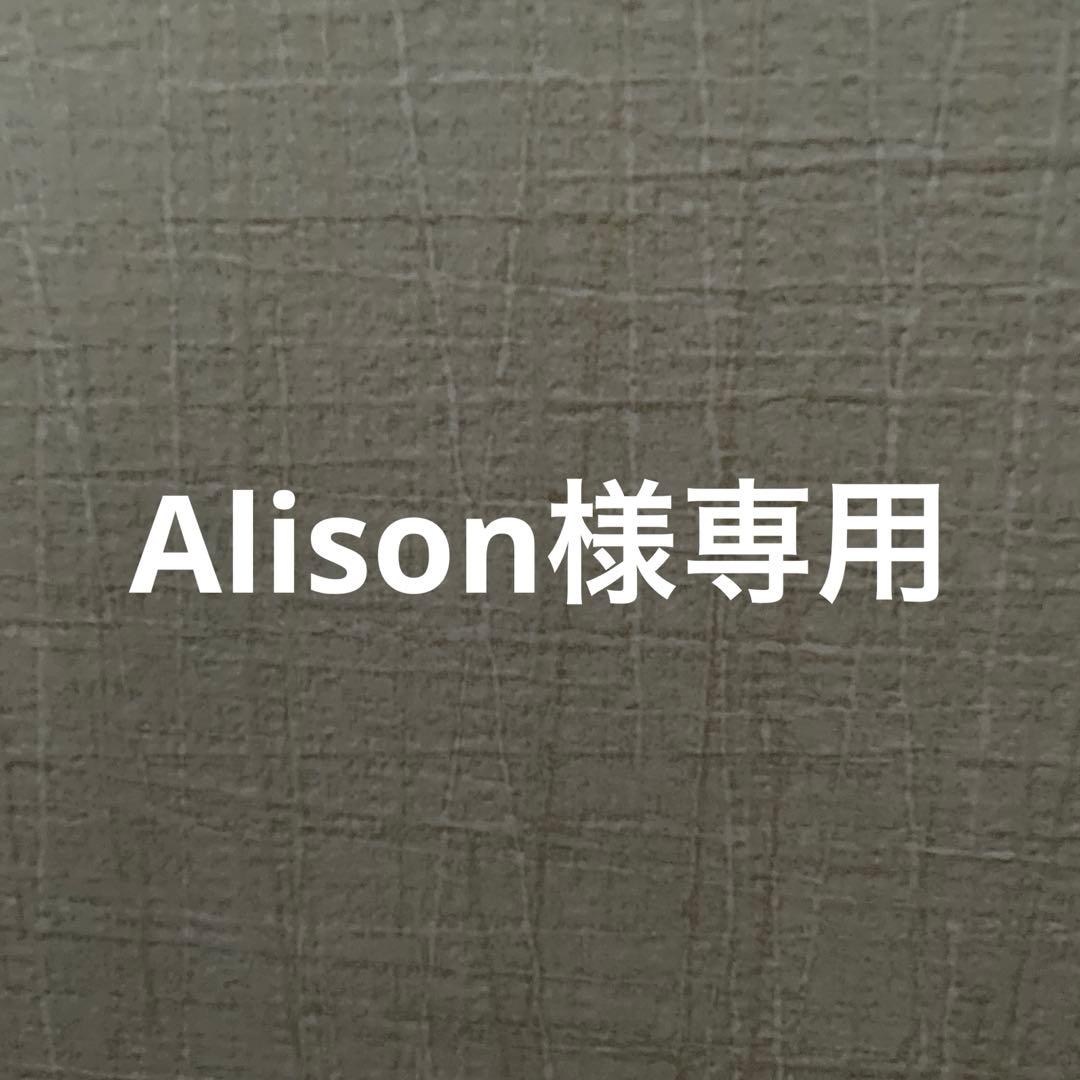 ダイソンドライヤーのアタッチメント　スタンド　ケースセット