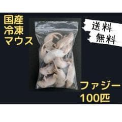 国産冷凍マウス ファジー 100匹 (一部地域発送不可)