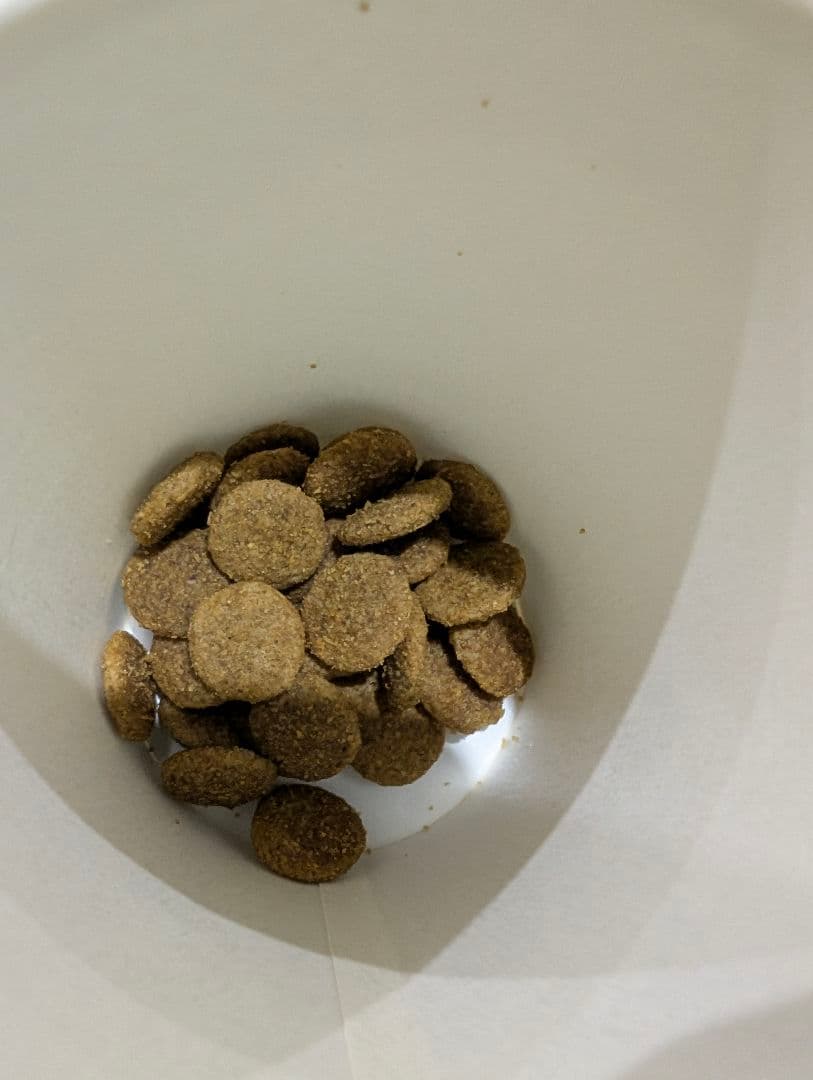 16日まで限定値下げファーストチョイス　ドッグフード ドライフード 18kg