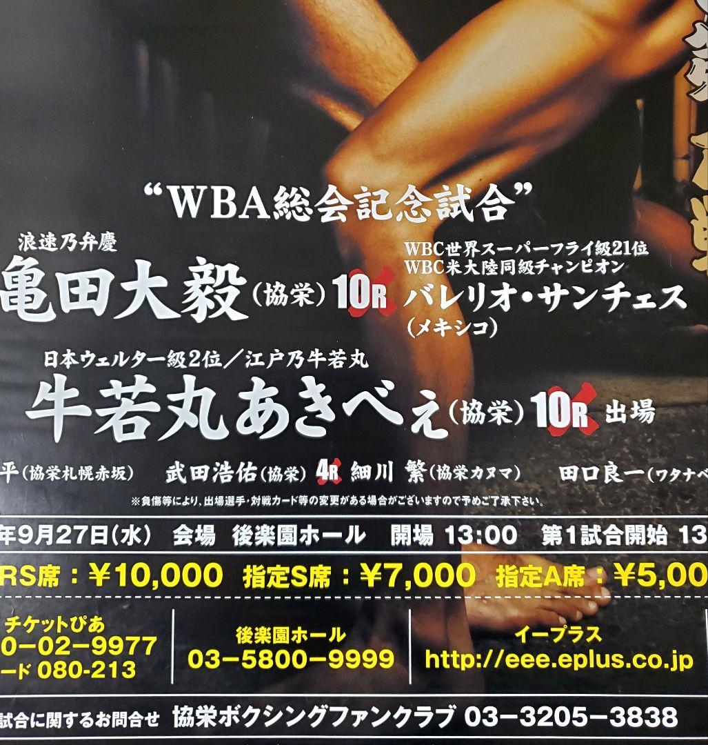 ボクシング　ポスター　亀田大毅vsバレリオ・サンチェス　牛若丸あきべぇ出場