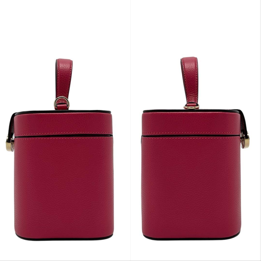 未使用級 マルベリー ショルダーバッグ バニティ パーティー 肩掛け ピンク