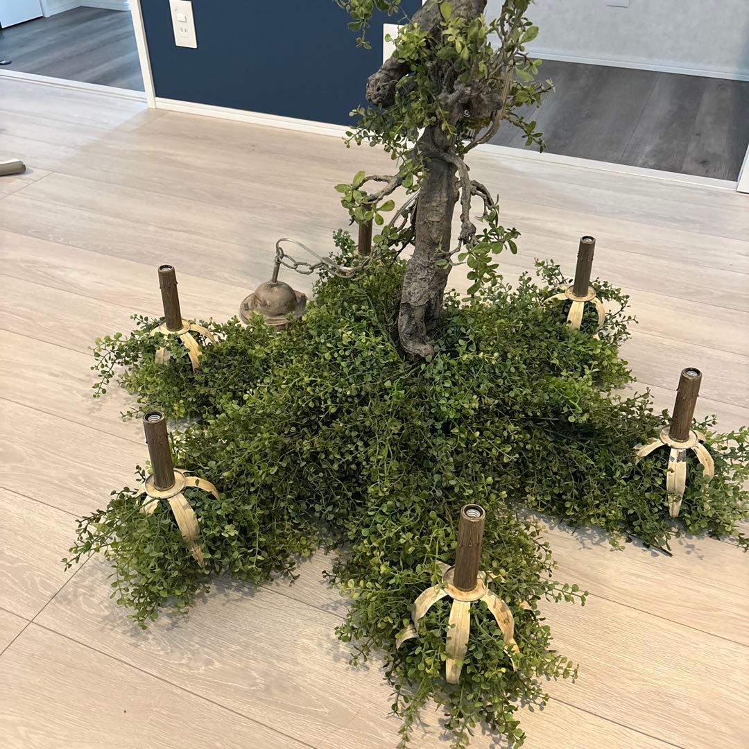 森のシャンデリア