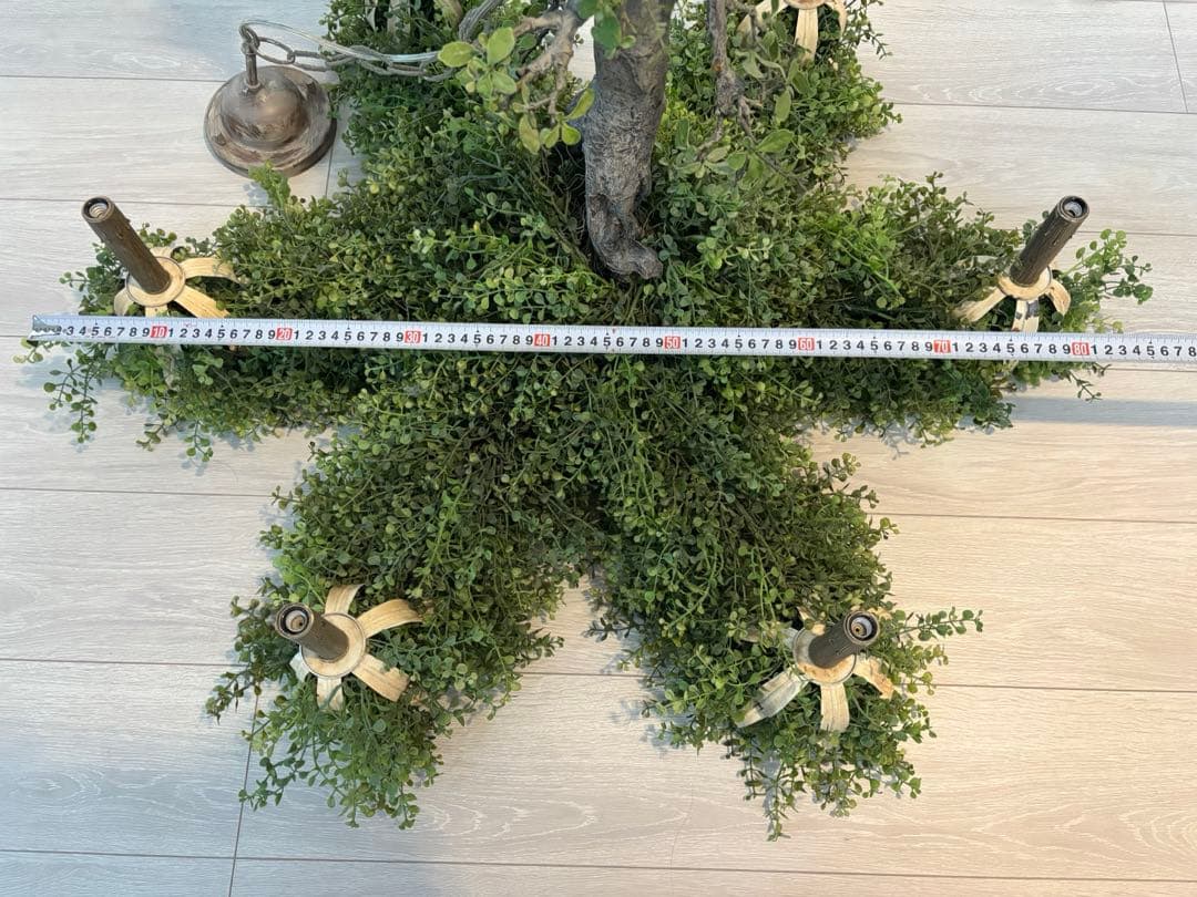 森のシャンデリア