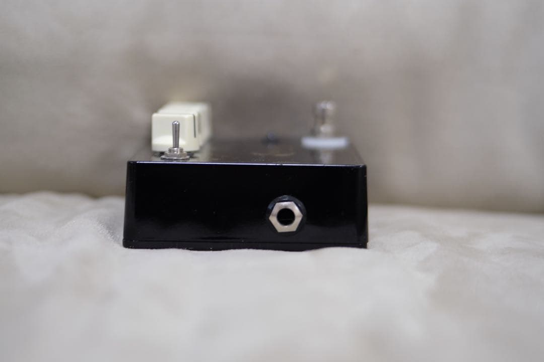 ギター Vivie MINERVA scion