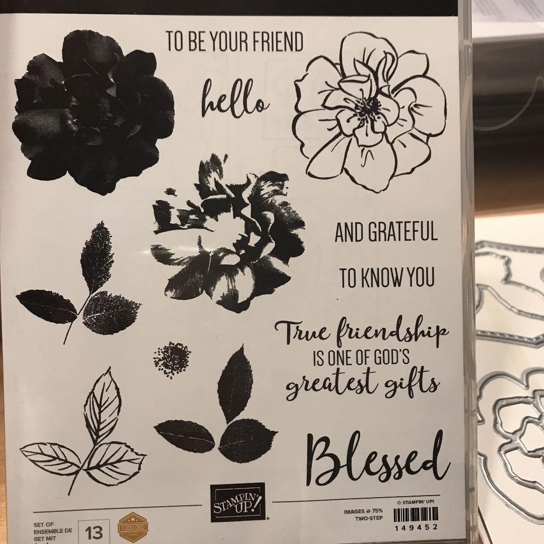 未使用　スタンピンアップ　wild rose 薔薇スタンプ & ダイのセット