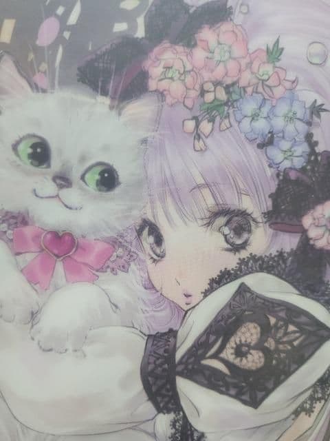 【額装】いのまたむつみ　MY Sweet Cat クリアファイル 完売品