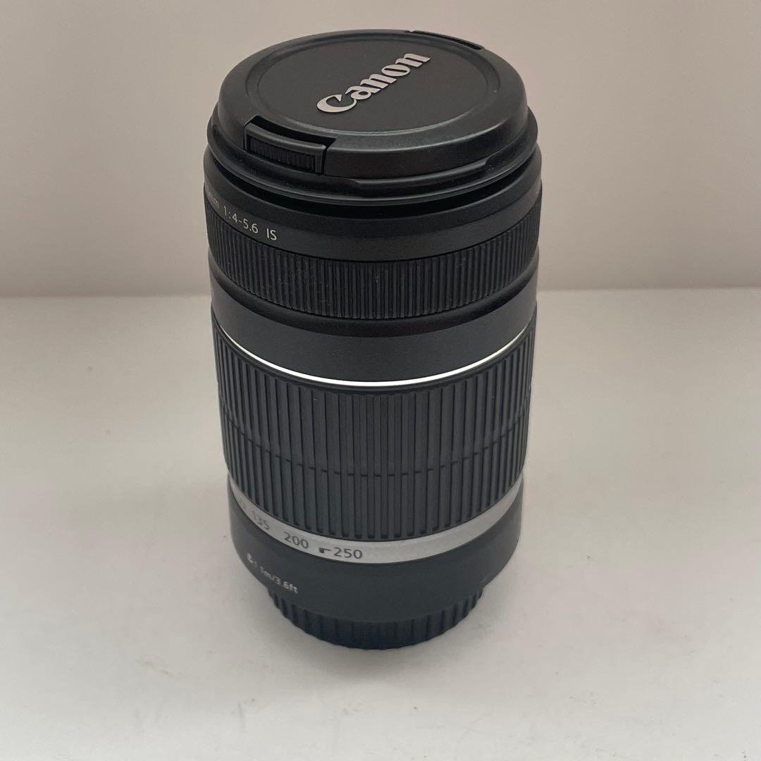 動作品 Canon EF-S 55-250mm ズームレンズ