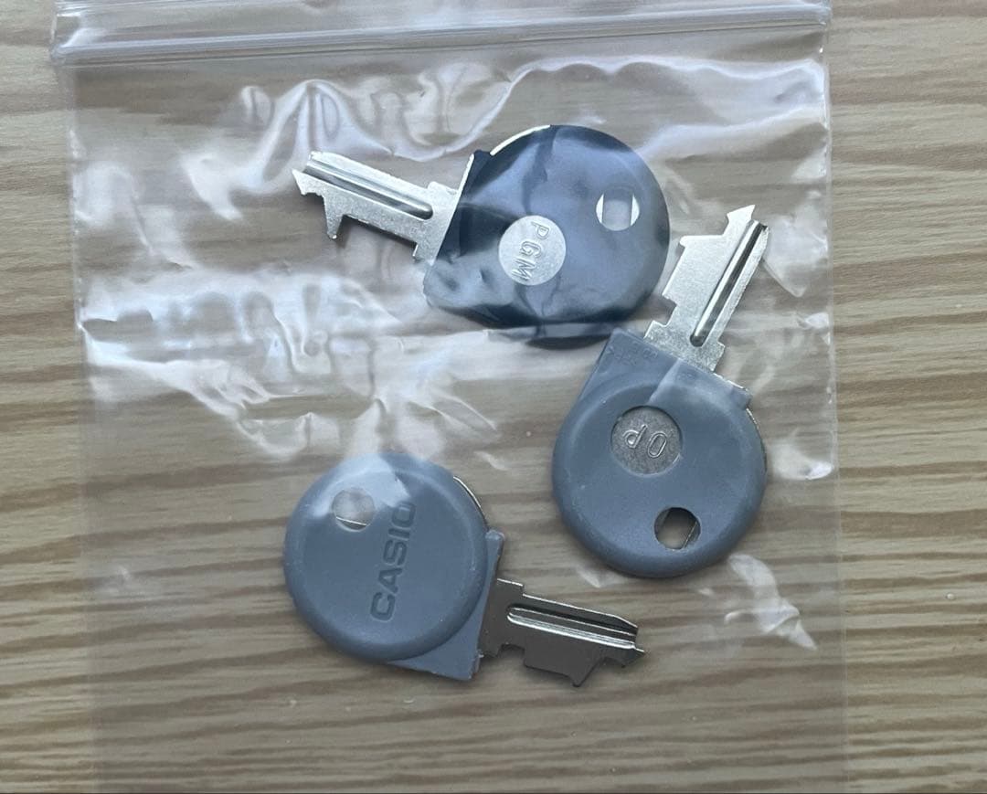 CASIO NL-300 ホワイト レジスター