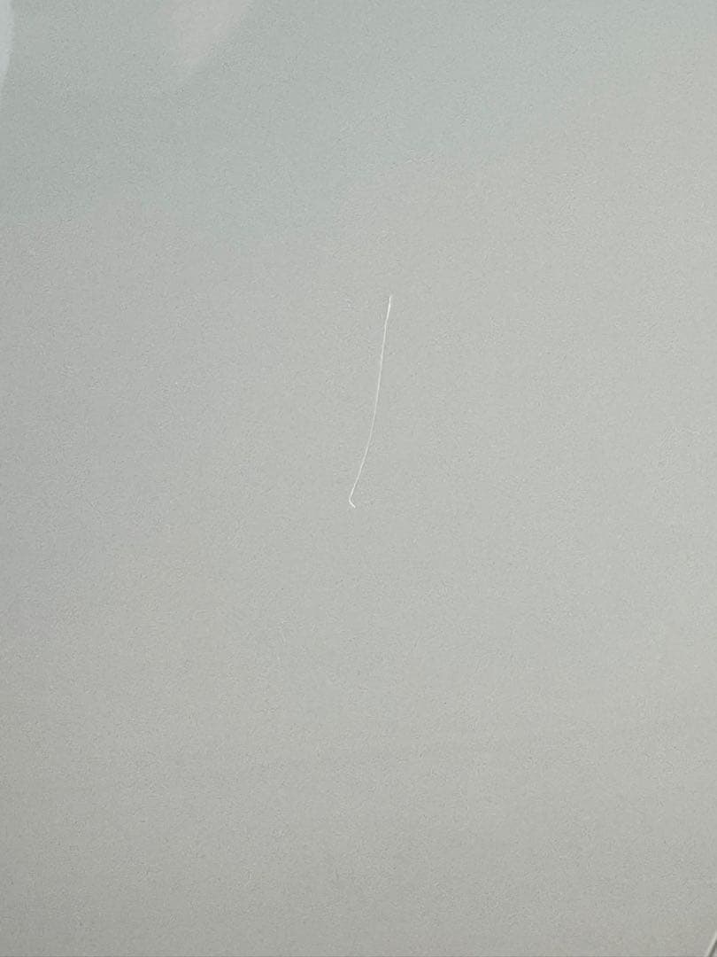 ダイニチ加湿器 HD-PN155(W) ホワイト 温風気化式 2024年製