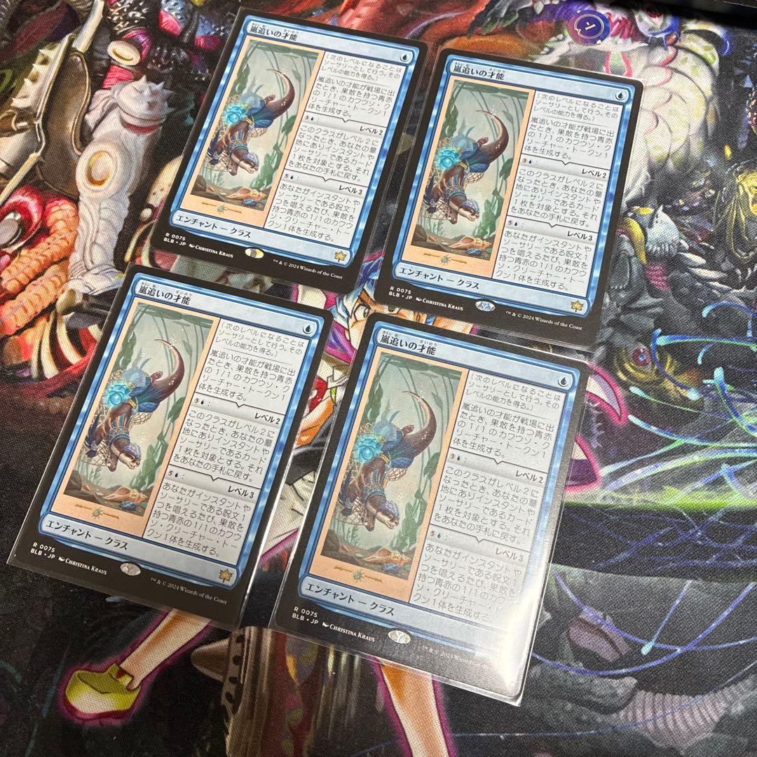 嵐追いの才能4枚セット