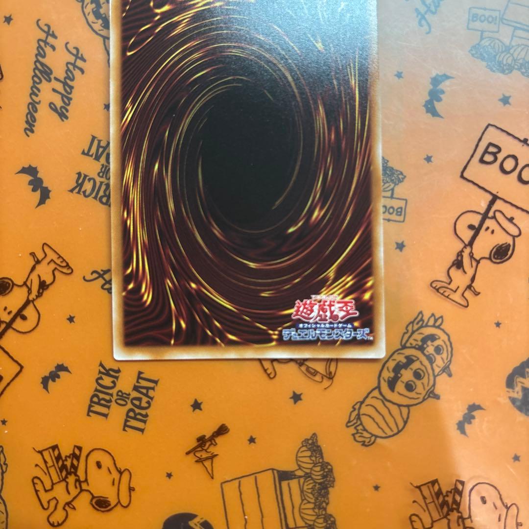 エルシャドールアプカローネ