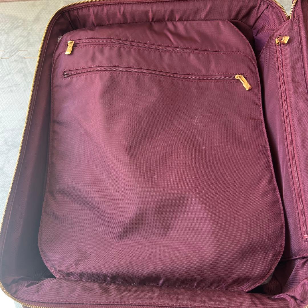 希少✨ルイヴィトン ペガス45 ヴェルニ モノグラム レザー キャリーケース