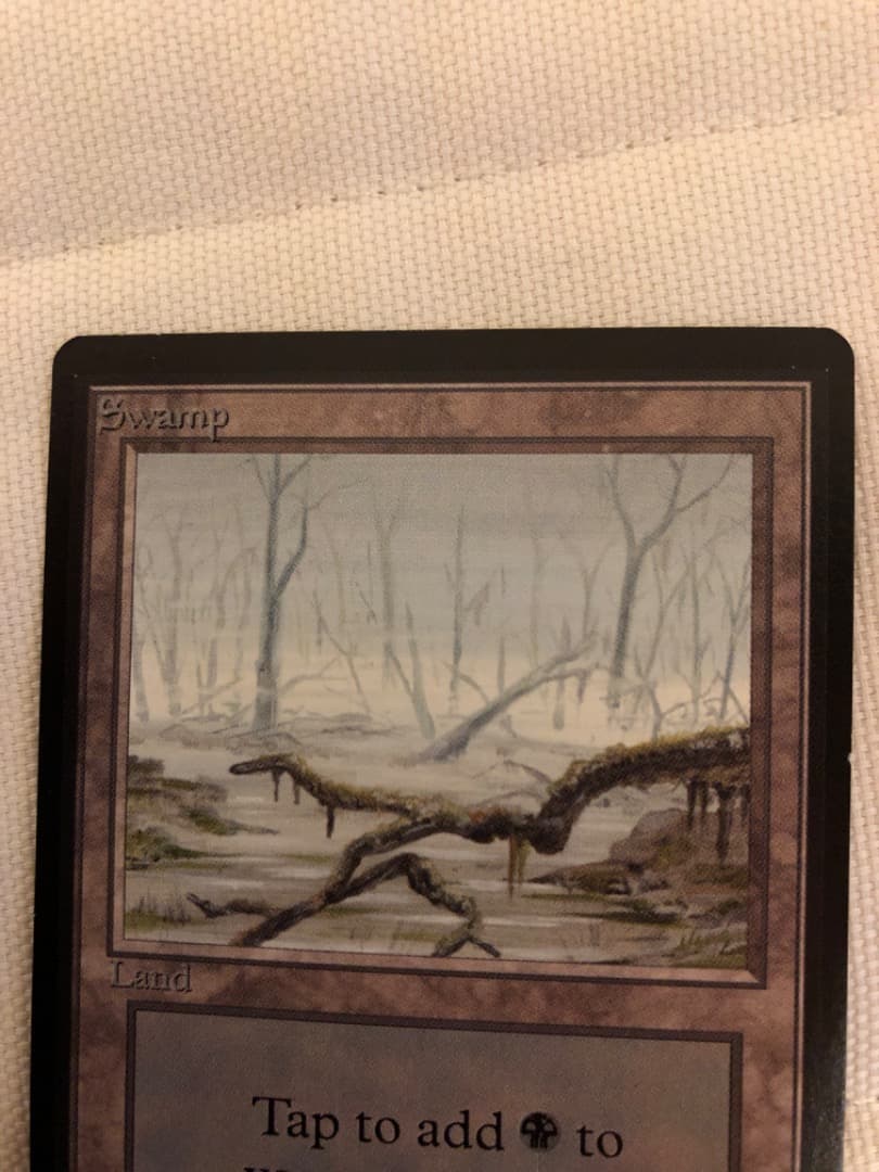 MTG 《沼/Swamp》β