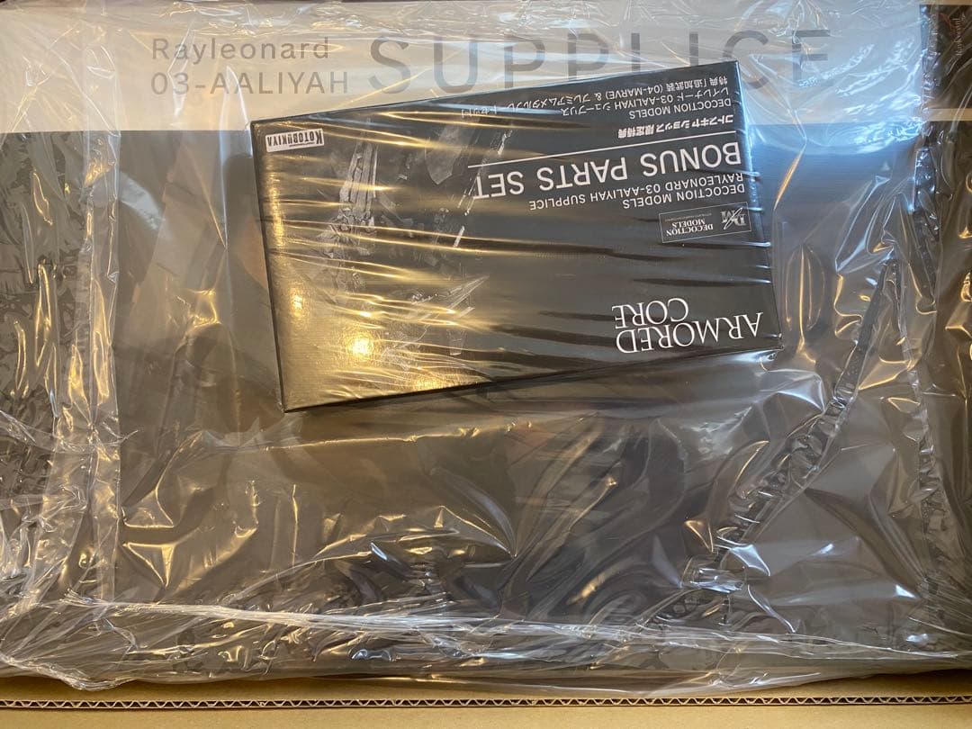 DECOCTIONMODEL レイレナード03-AALIYAH シュープリス