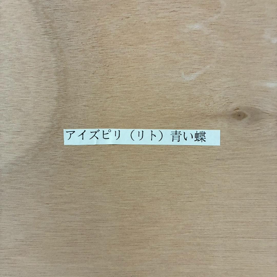 美品 ポール・アイズピリ「青い蝶」リトグラフ 直筆サイン入 人気画家 パリ画壇