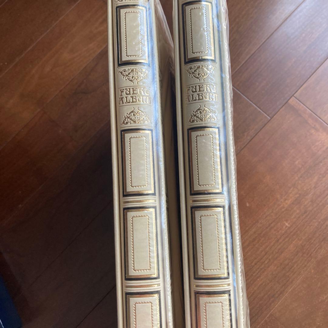 ナカバヤシフェルアルバム　Lサイズ 台紙15枚セット済み(替台紙、5枚プラス)