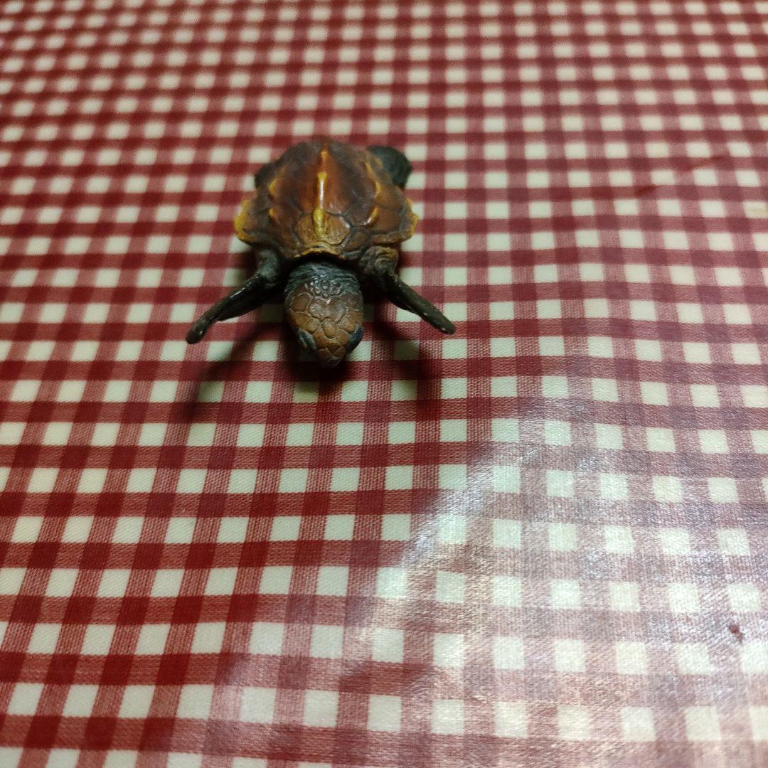 亀のフィギュア