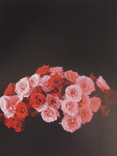 港信夫、薔薇、希少な画集より、新品高級額・額装付、状態良好