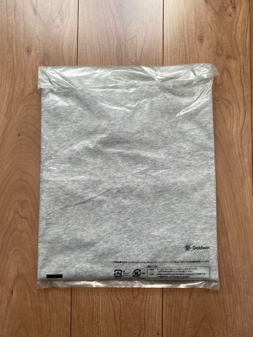 PALACE The North Face Tシャツ　Lサイズ