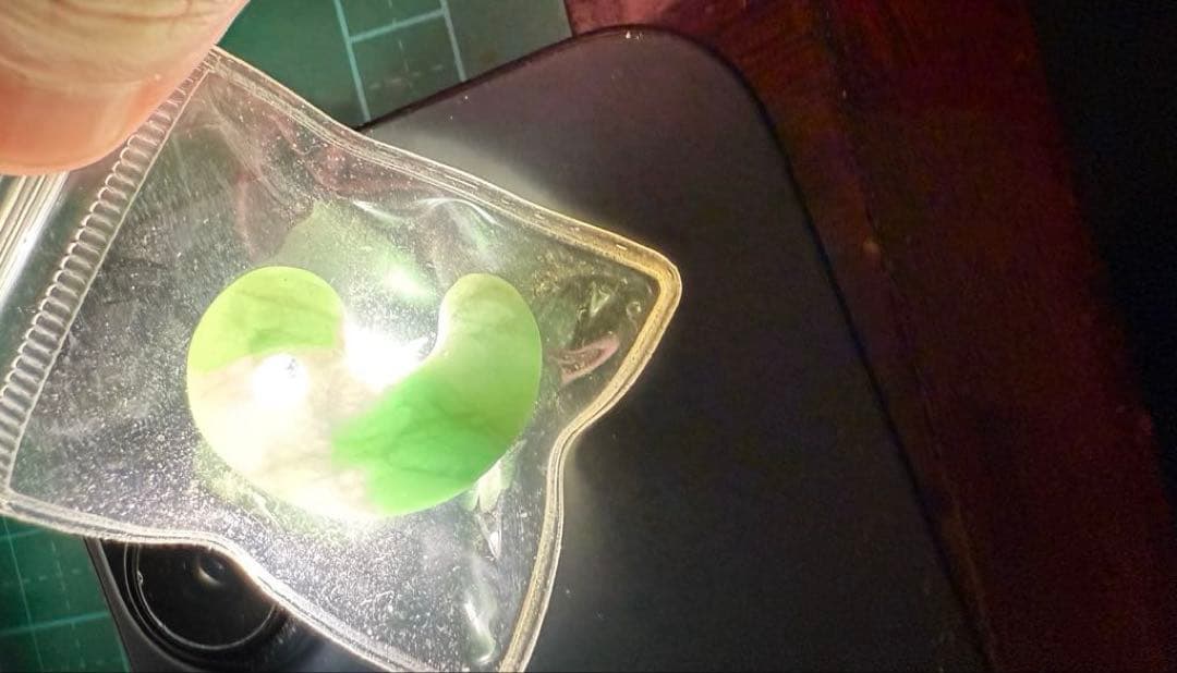 糸魚川翡翠‼️小滝産地‼️勾玉‼️極上品‼️本物の威厳‼️大変に美しい絶品‼️別格品‼️