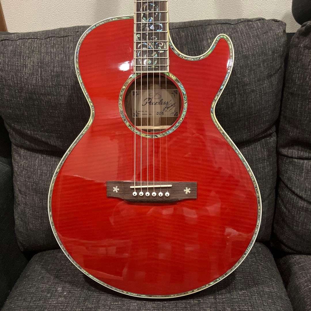 希少EARTHSHAKER MARCYシグネチャーモデル数量限定エレアコ