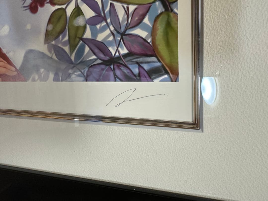 緋色雪「雪中椿」 HC.4/6