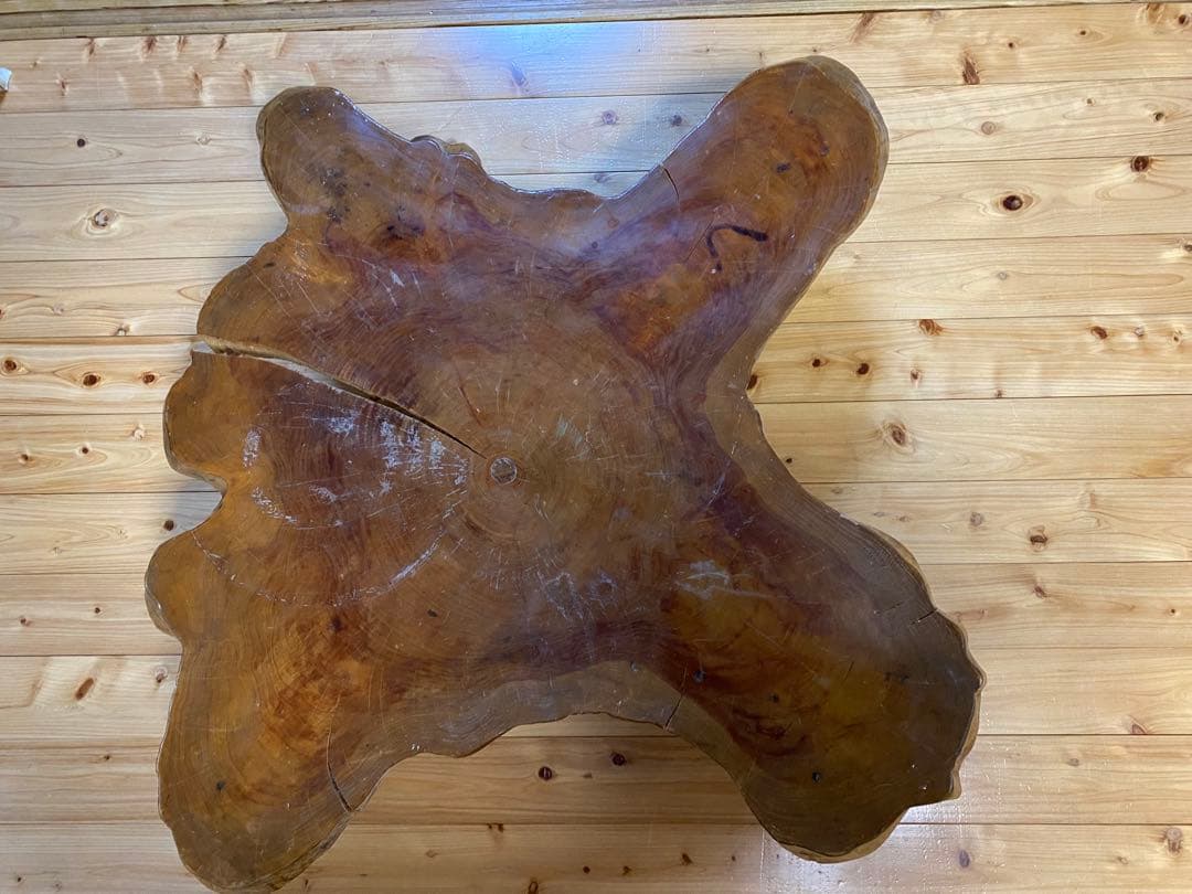 天然木 一枚板 輪切りテーブル ローテーブル 座卓 無垢材