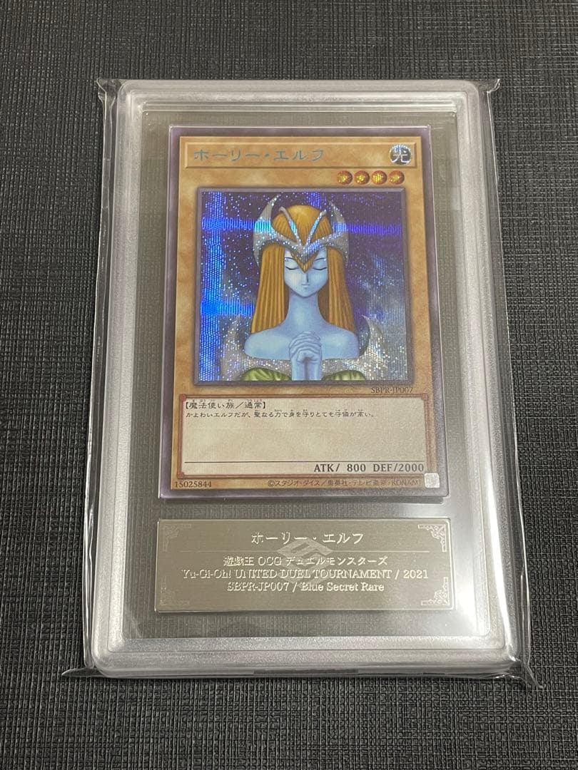 【極美品】ホーリーエルフ ブルシク ARS10✨