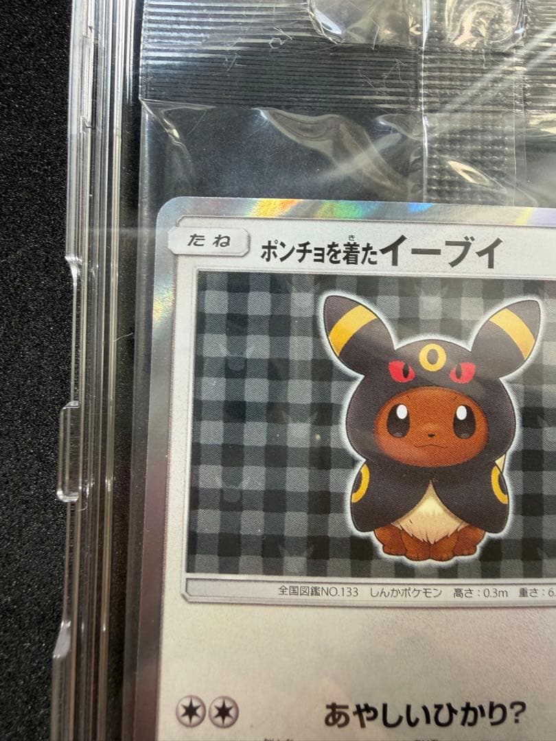 【新品未開封】ポンチョを着たイーブイ（ブラッキー） PROMO SM-P 141