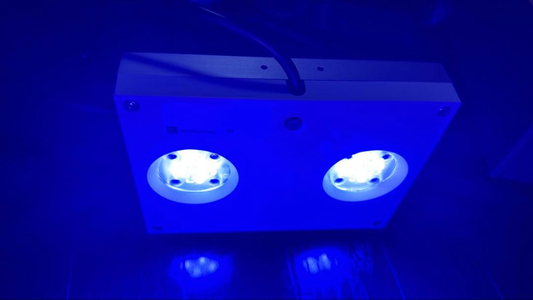 AI ハイドラ32 hydra32 ハンギングキット