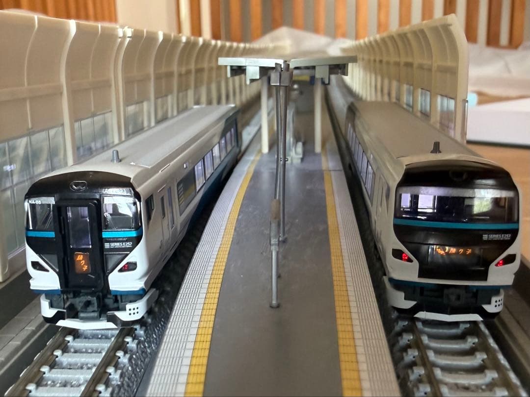 KATO E257系2000番台 踊り子 9両