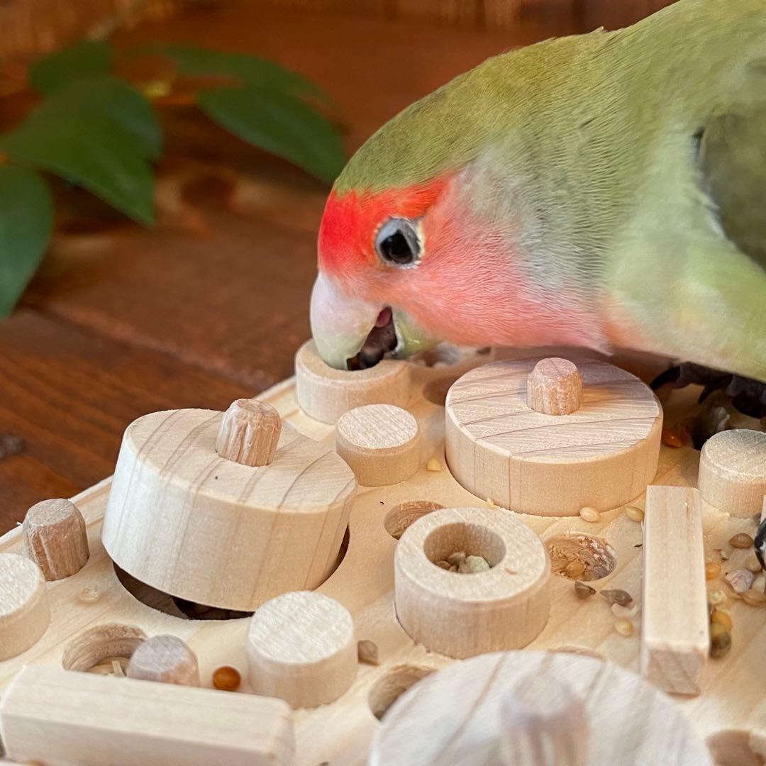 ぺんぺちょ　フォージングトイおまとめ