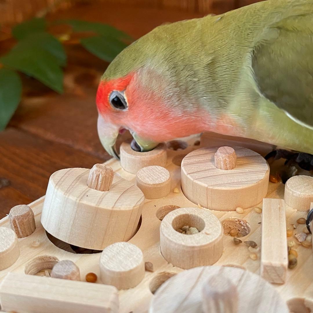 ぺんぺちょ　フォージングトイおまとめ