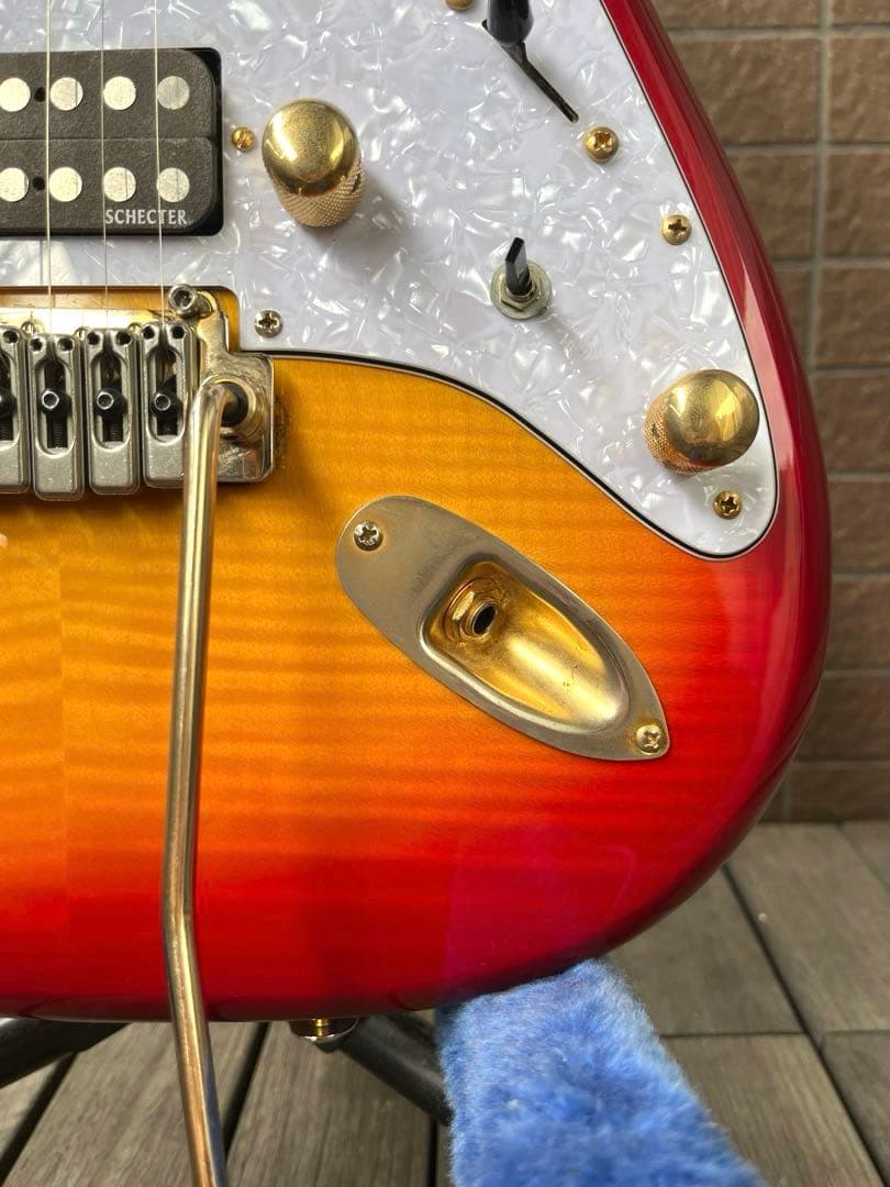 【動作◯】 シェクターネック コンポーネントギター